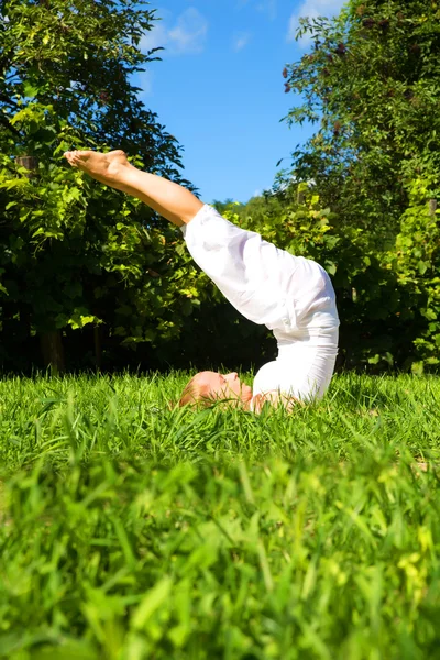 Parktaki Yoga — Stok fotoğraf